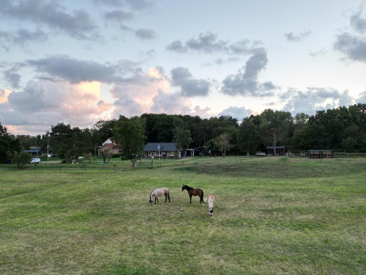 Little Creek * Renesse