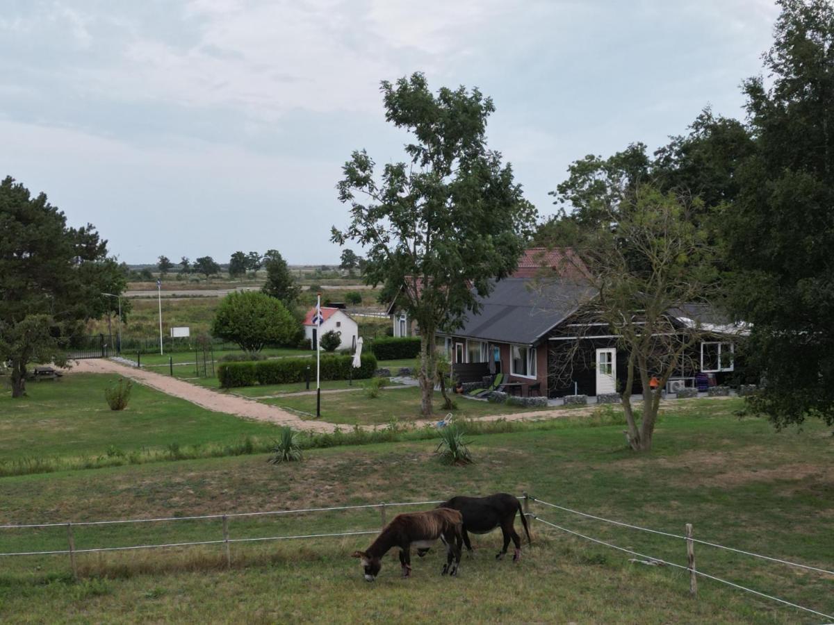 Little Creek * Renesse